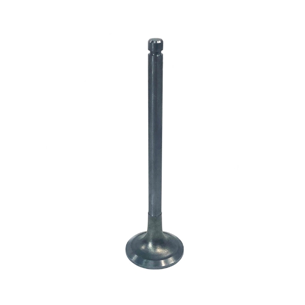 Picture of Exhaust Valve