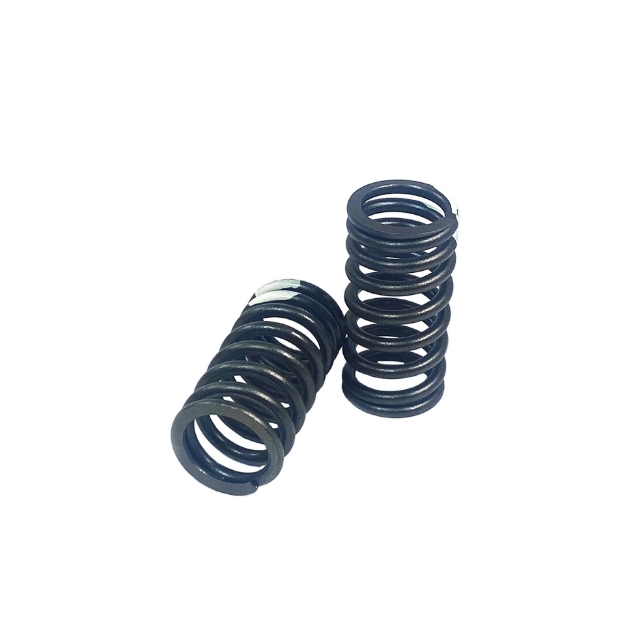 Picture of Valve Spring