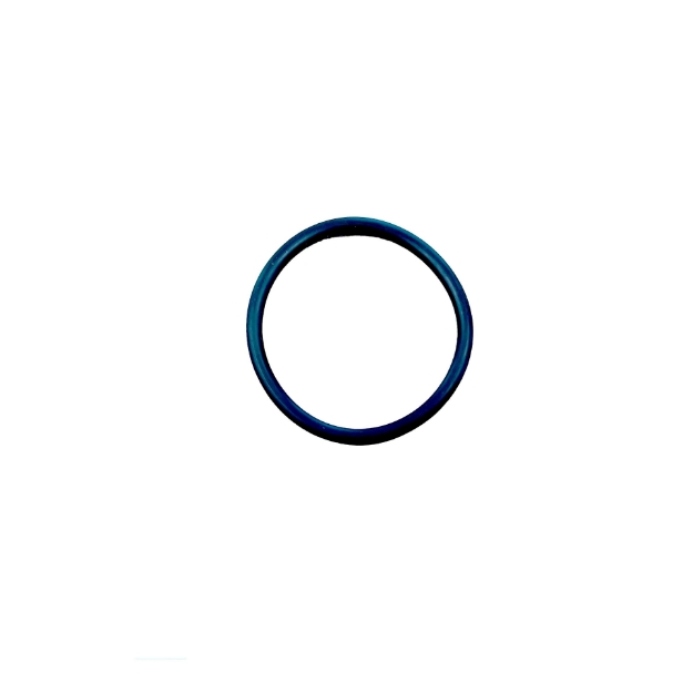 Picture of O-Ring