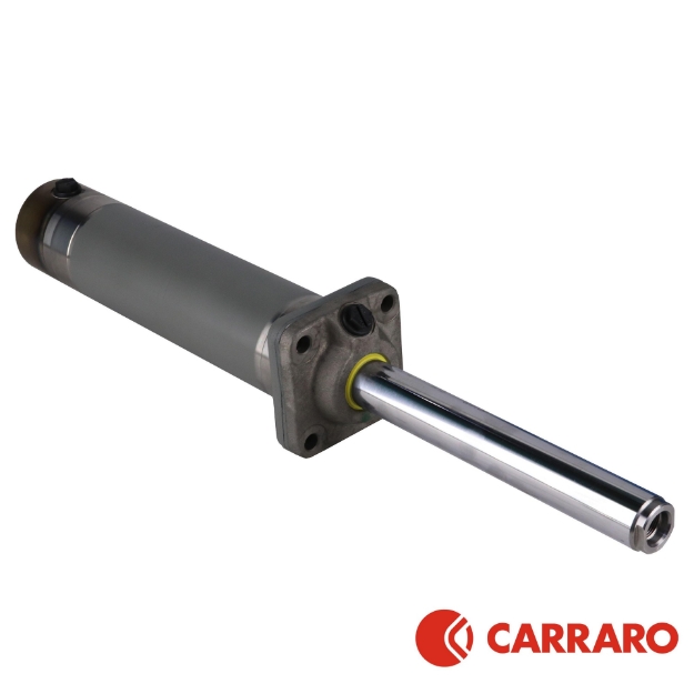 Picture of Carraro Steering Cylinder, MFD