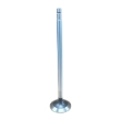Picture of Intake & Exhaust Valve