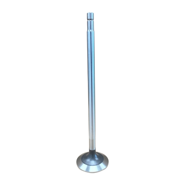 Picture of Intake & Exhaust Valve