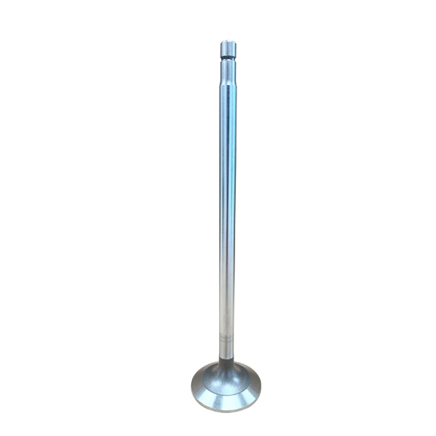 Picture of Intake & Exhaust Valve