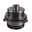 Picture of Water Pump w/ Pulley, New